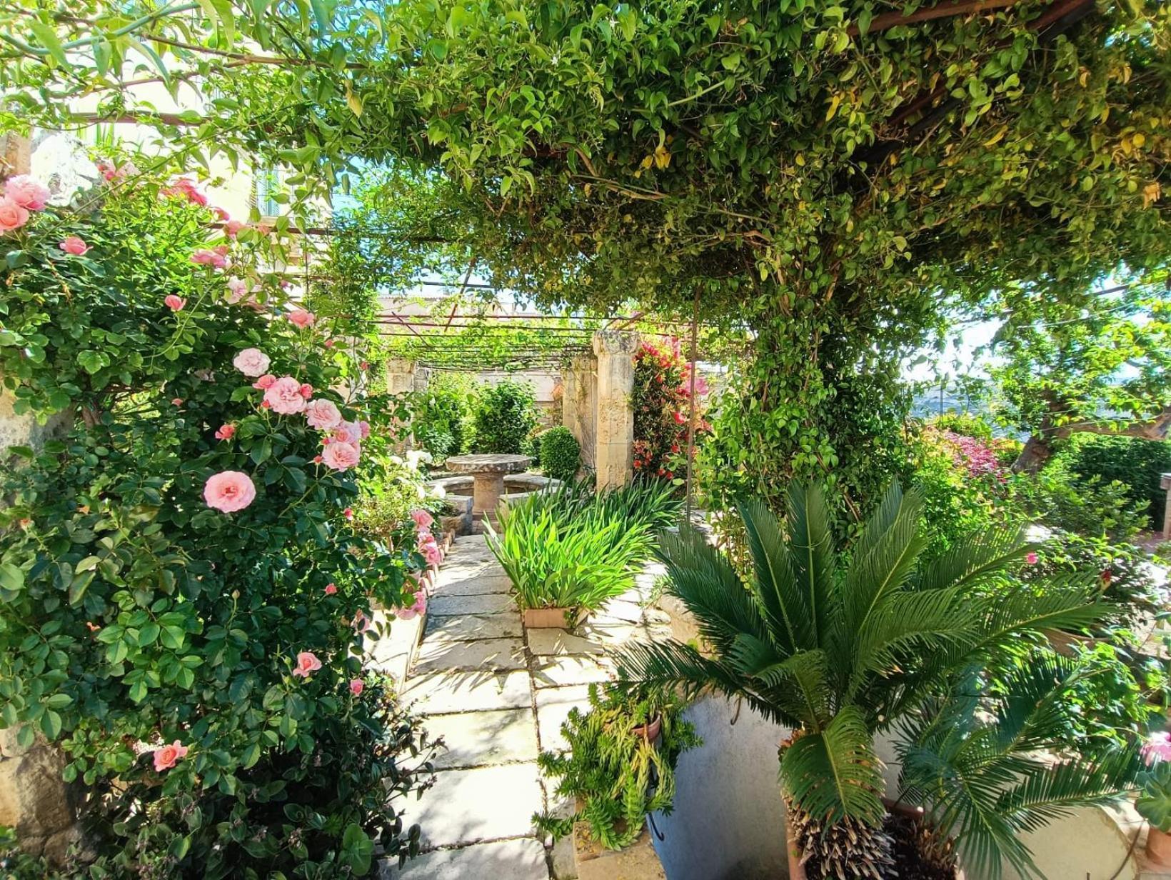 Palazzo Bernardini B & B มาเตรา ภายนอก รูปภาพ